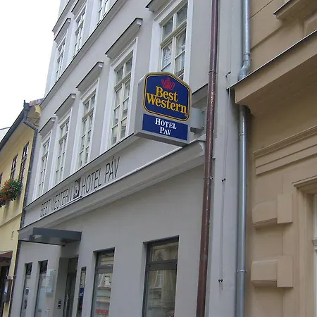 Hotel Páv