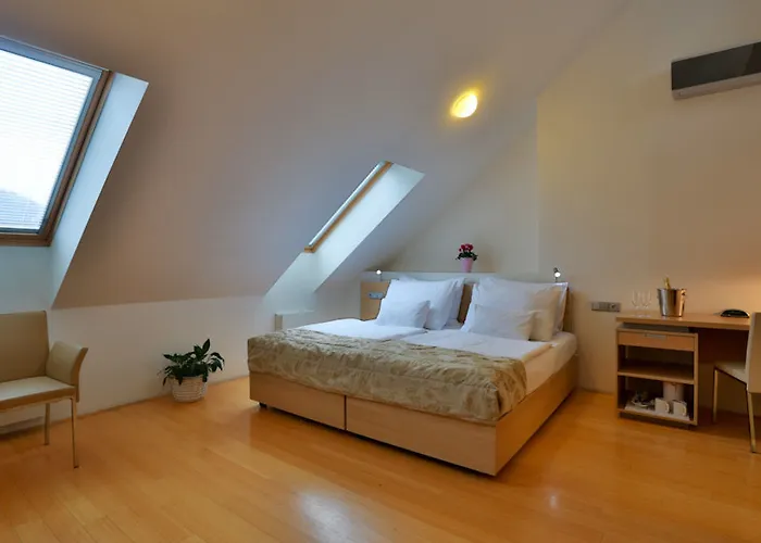 Hotel Pav